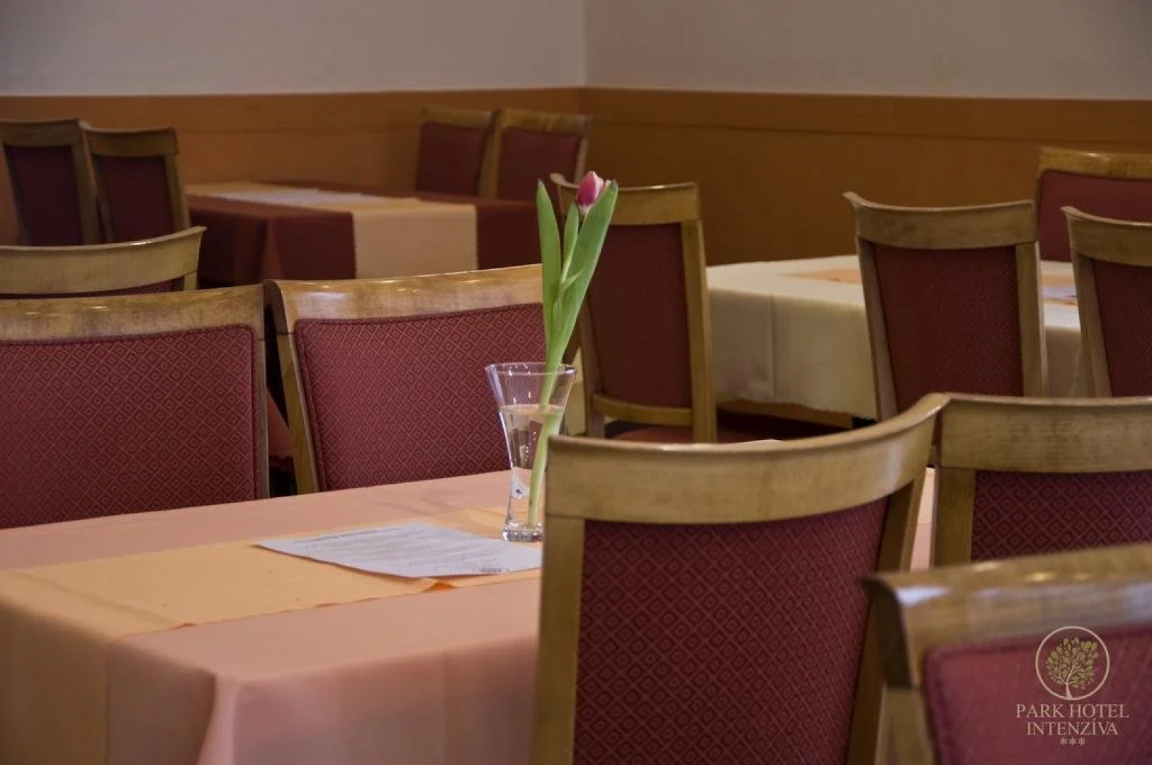 Park Hotel Intenzíva