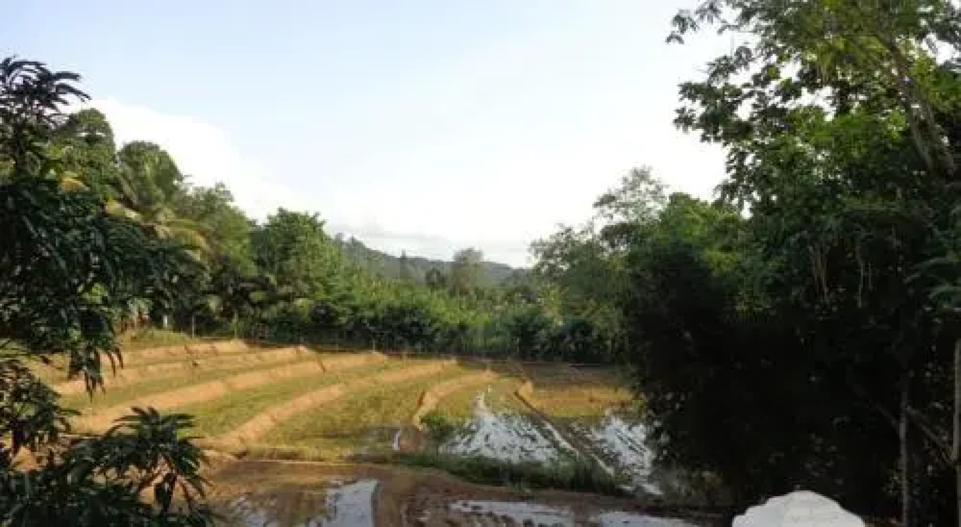 Sethsura Grand Hotel