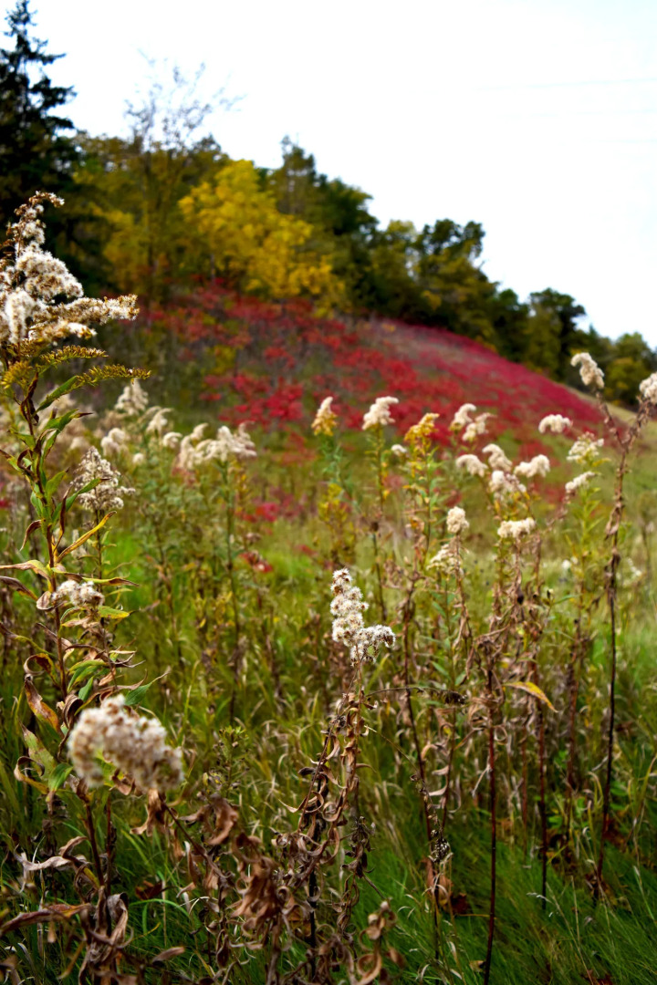 Country Inn River Falls