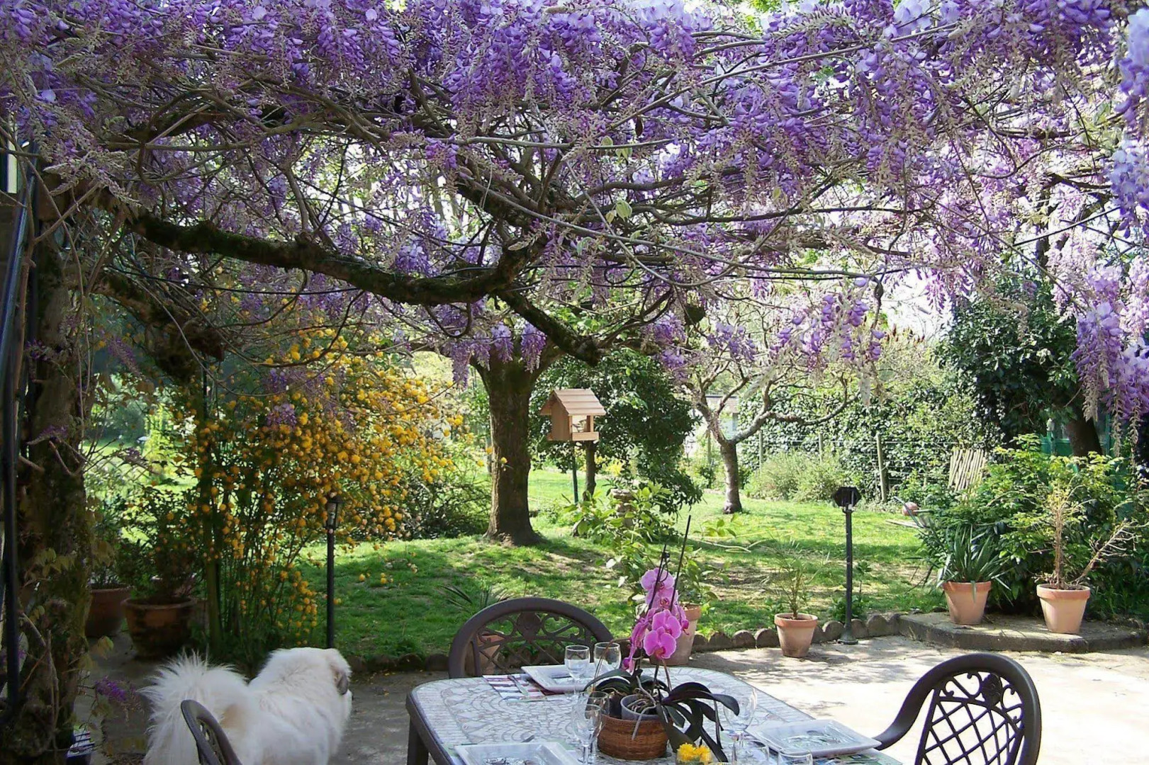 Lauberge de Chaussin