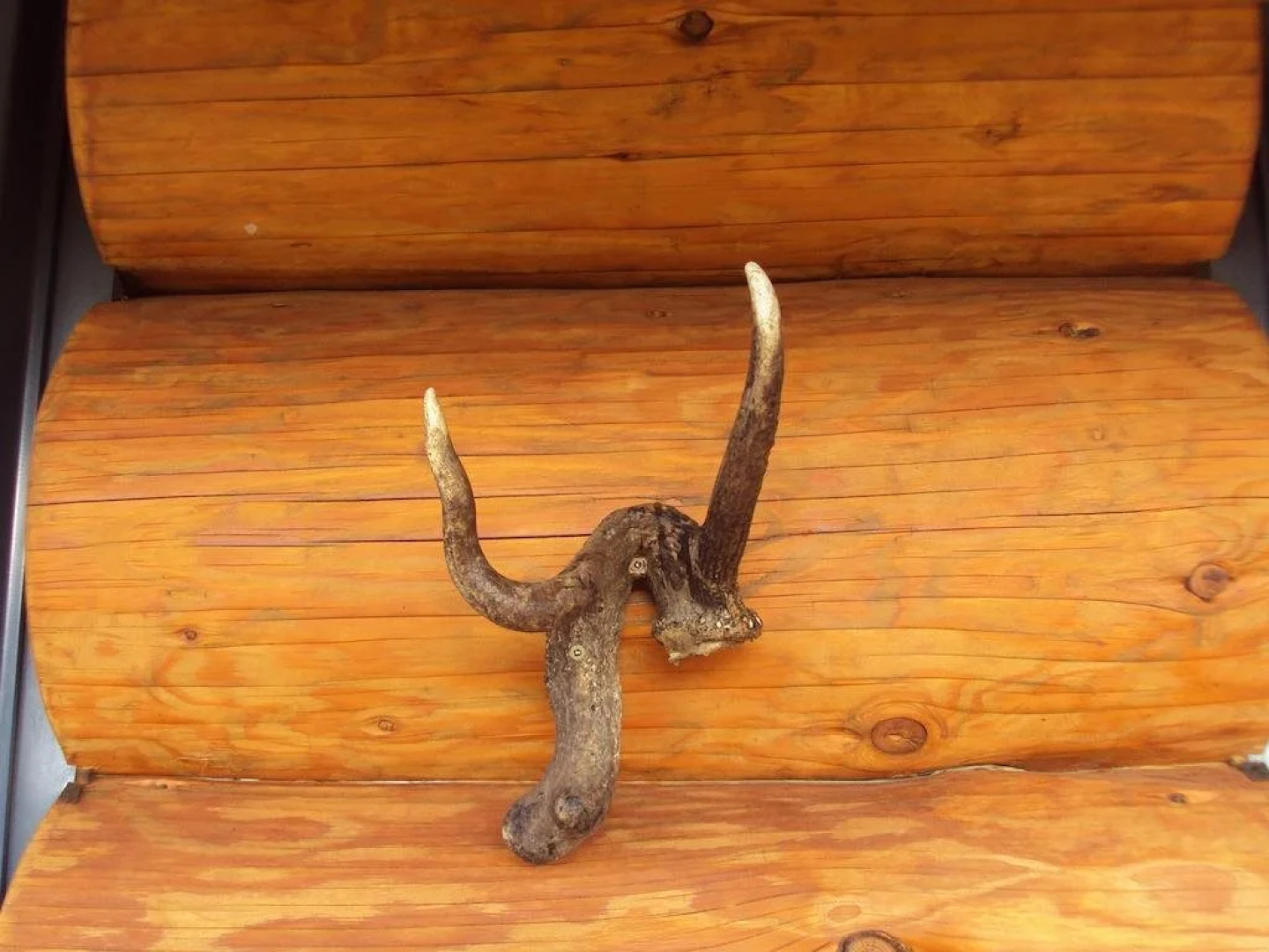 The Hollows Luxury Log Cabin