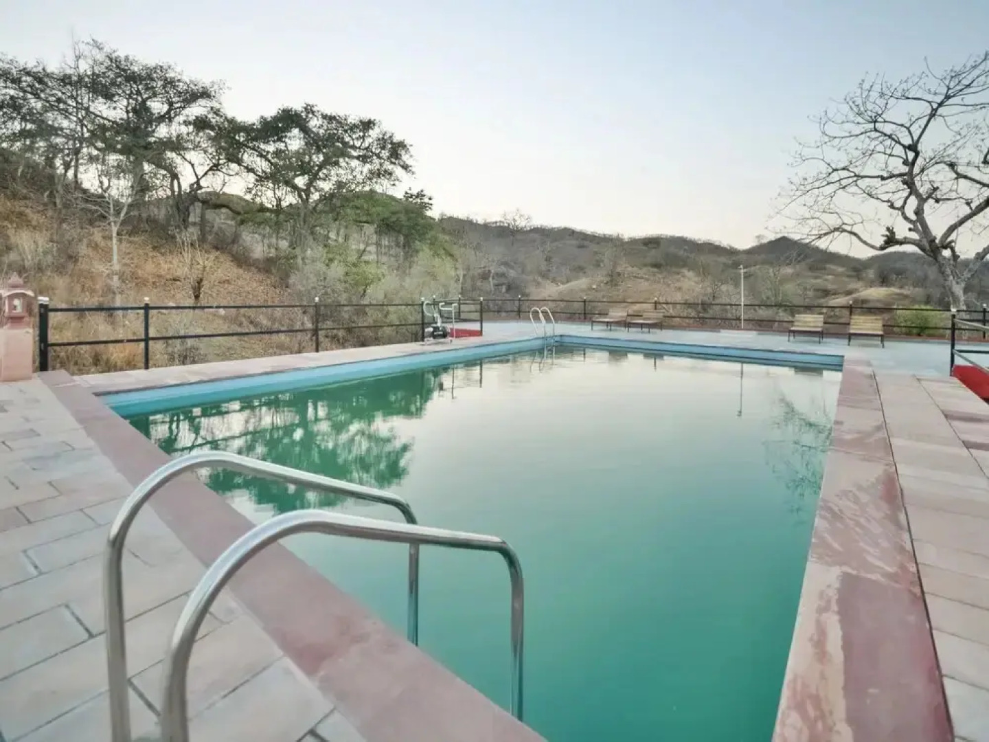 Palette-Jungle Camp By Thar Oasis