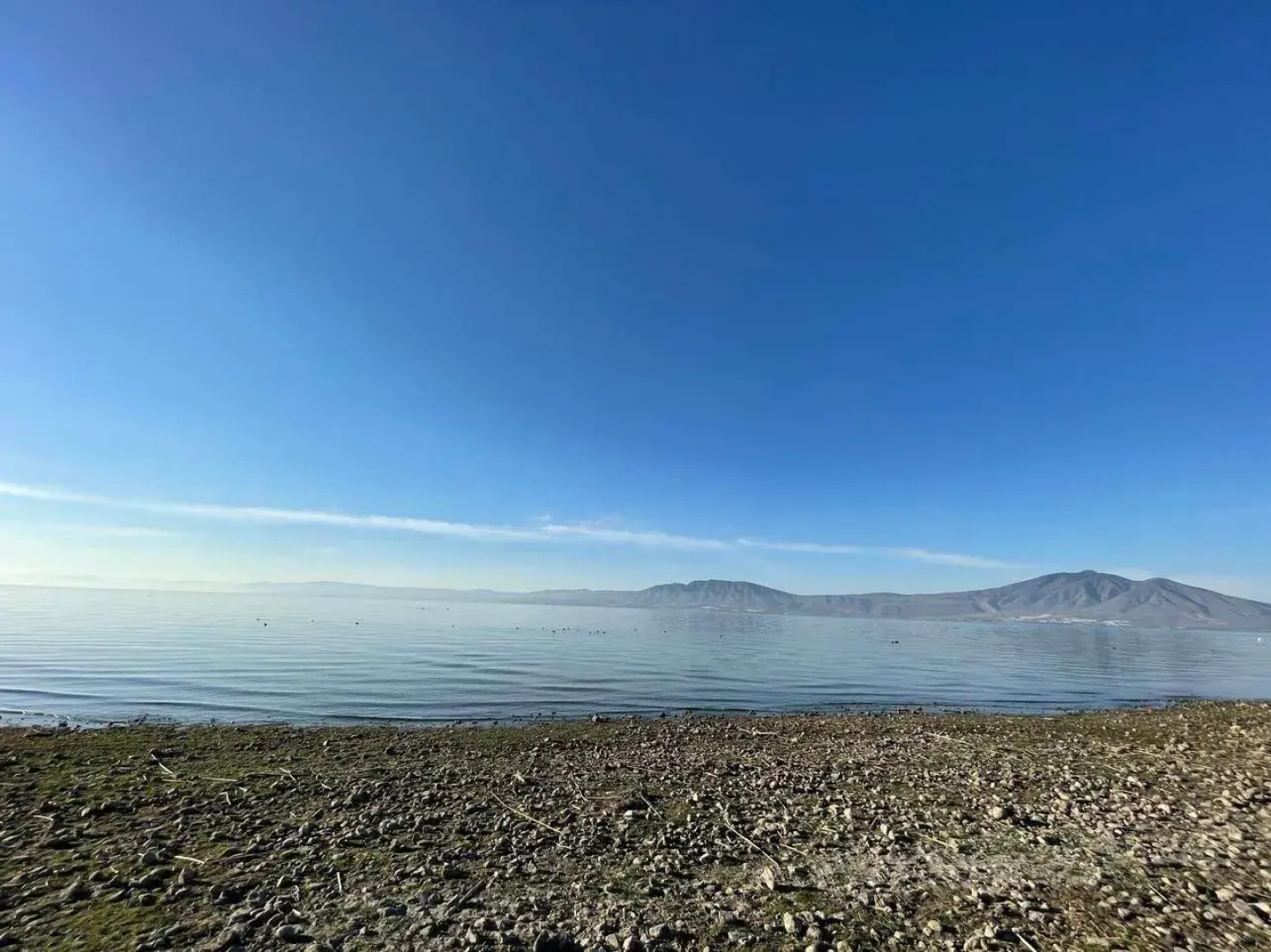 Seuia Departamentos con alberca a pasos del lago