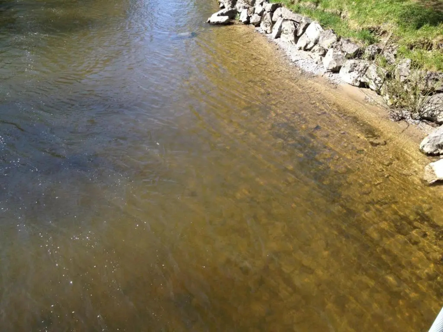 Pia's Nature Retreat