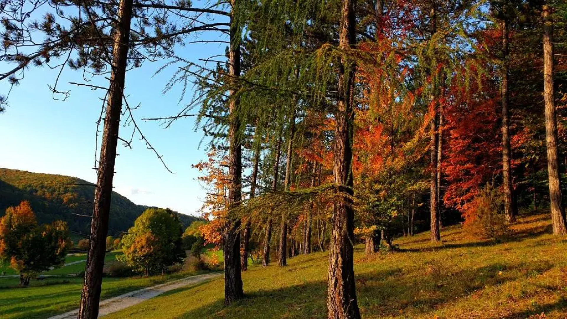 Sonnenbuhl Inn Suite & Garden An Den Thermen '35c'