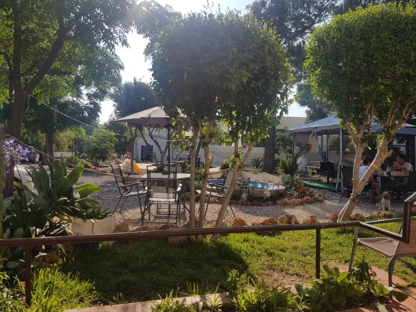 Bela Alexandra Guest House