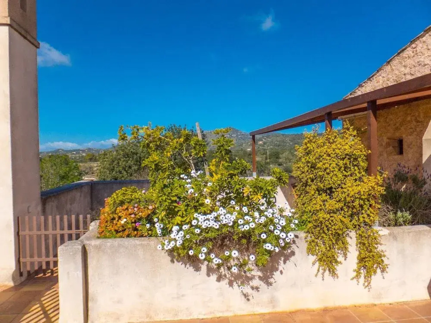 Finca Ses Cases Noves