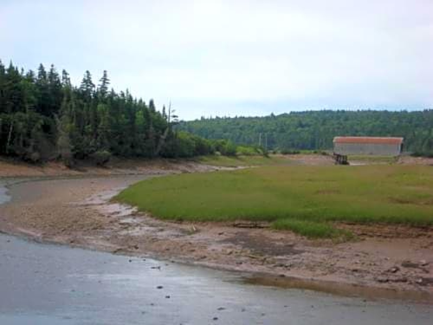 Moore's Specialties Fundy Bay House Rental