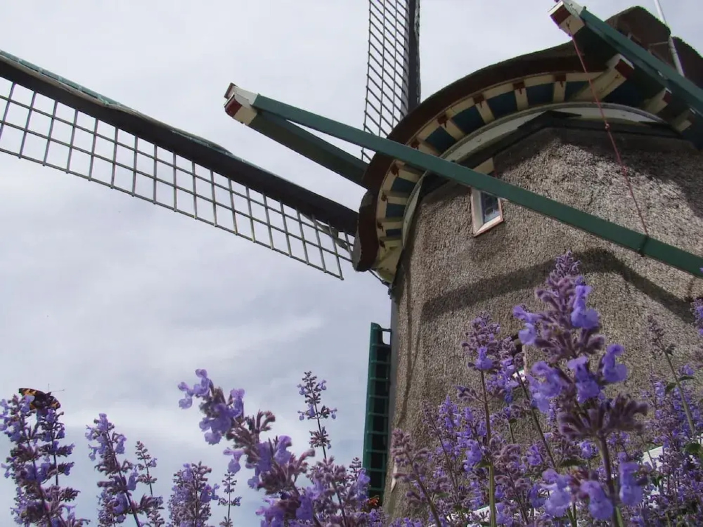 Spacious Holiday Home in the Beemster Near a Windmill