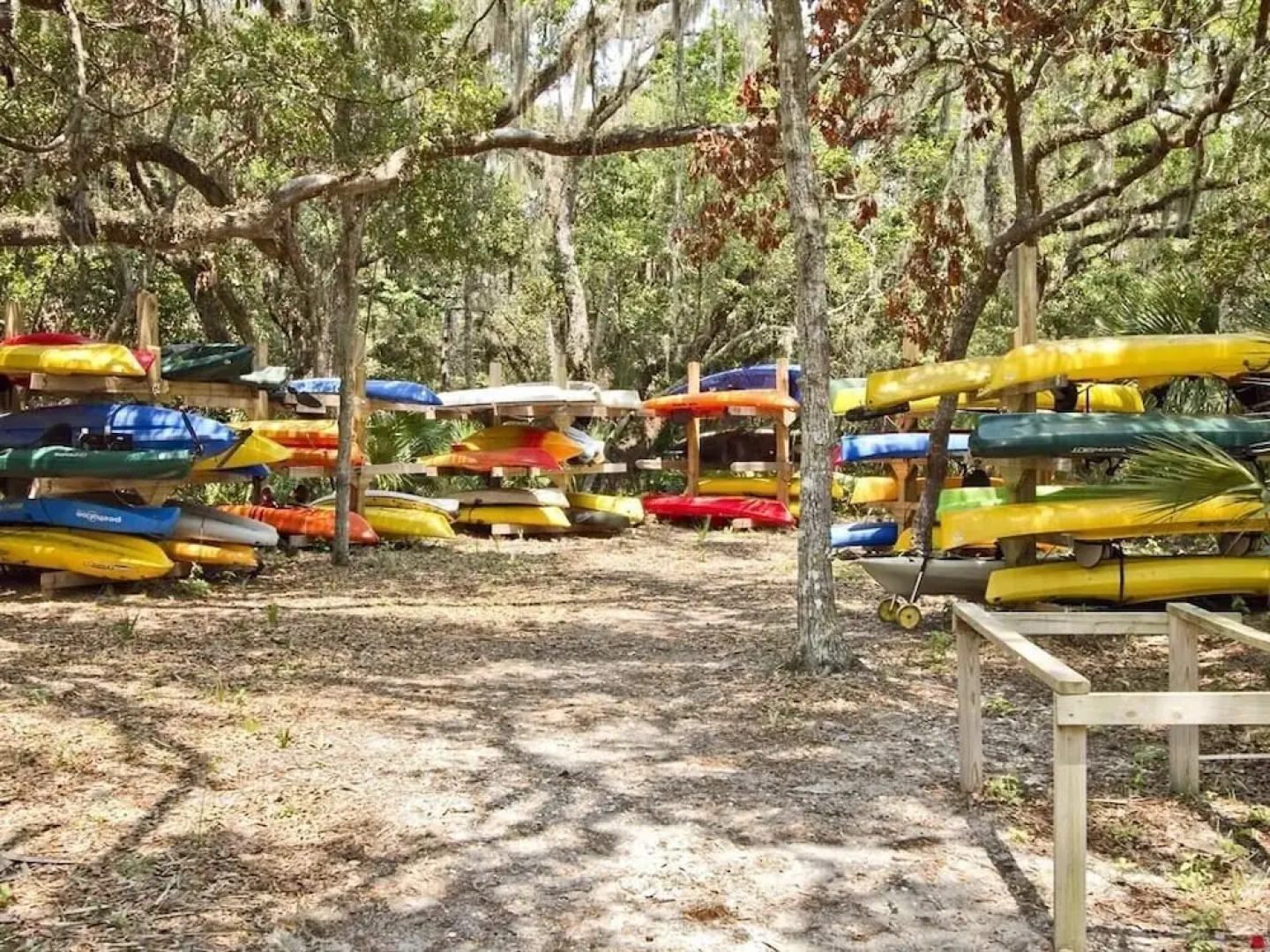 Surf Club II