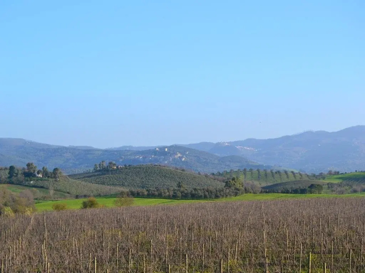 Agriturismo Il Giglio di S. Antonio
