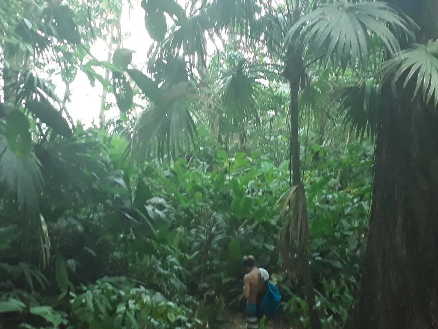 Blue Butterfly Hotel