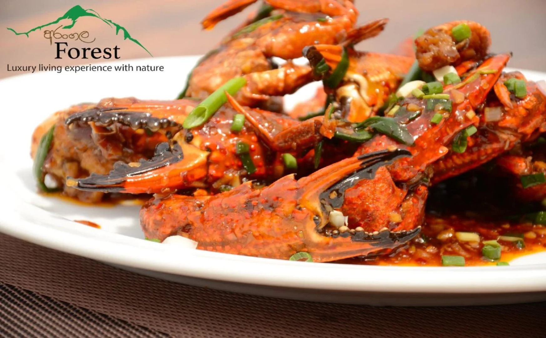 Arangala Forest Lodge