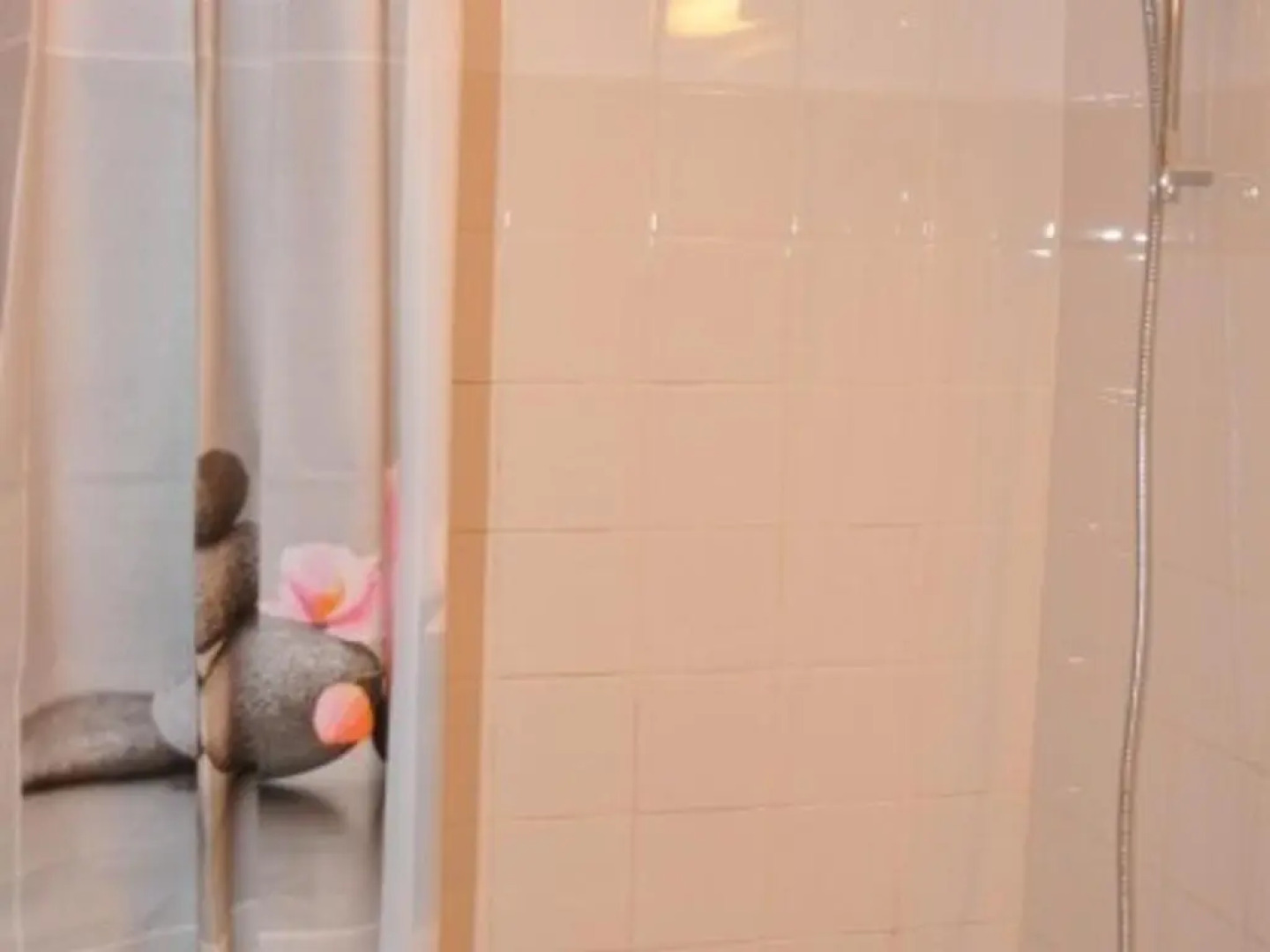 Appartement Le Pleynet, 1 pièce, 4 personnes - FR-1-557A-20