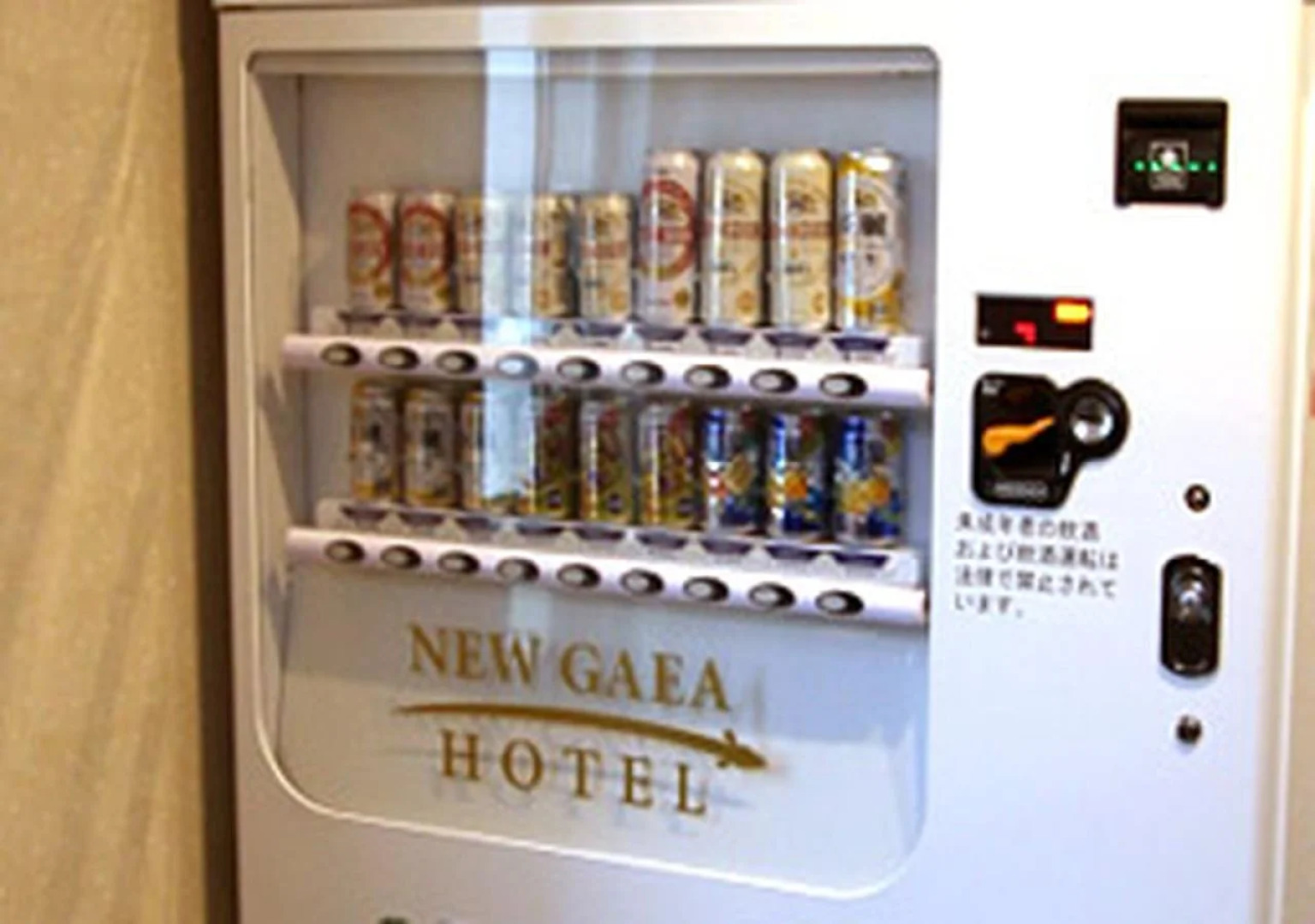 Hotel New Gaea Yanagawa