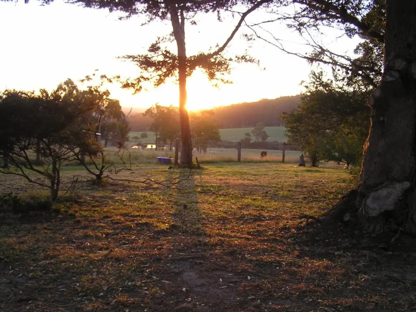 Misty Valley Country Cottages
