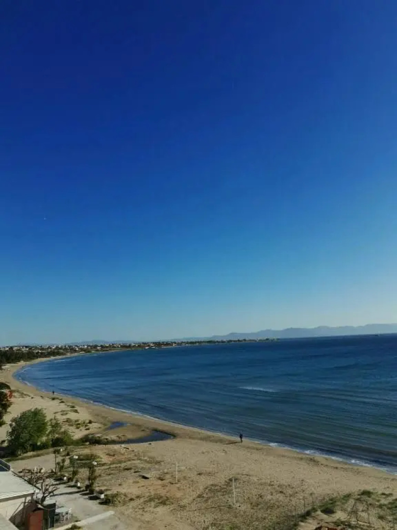 Apartment Michalis by the Sea