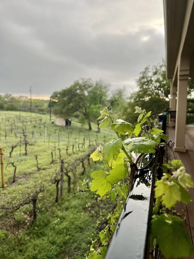 The Vineyard B&B at Lost Creek Ranch