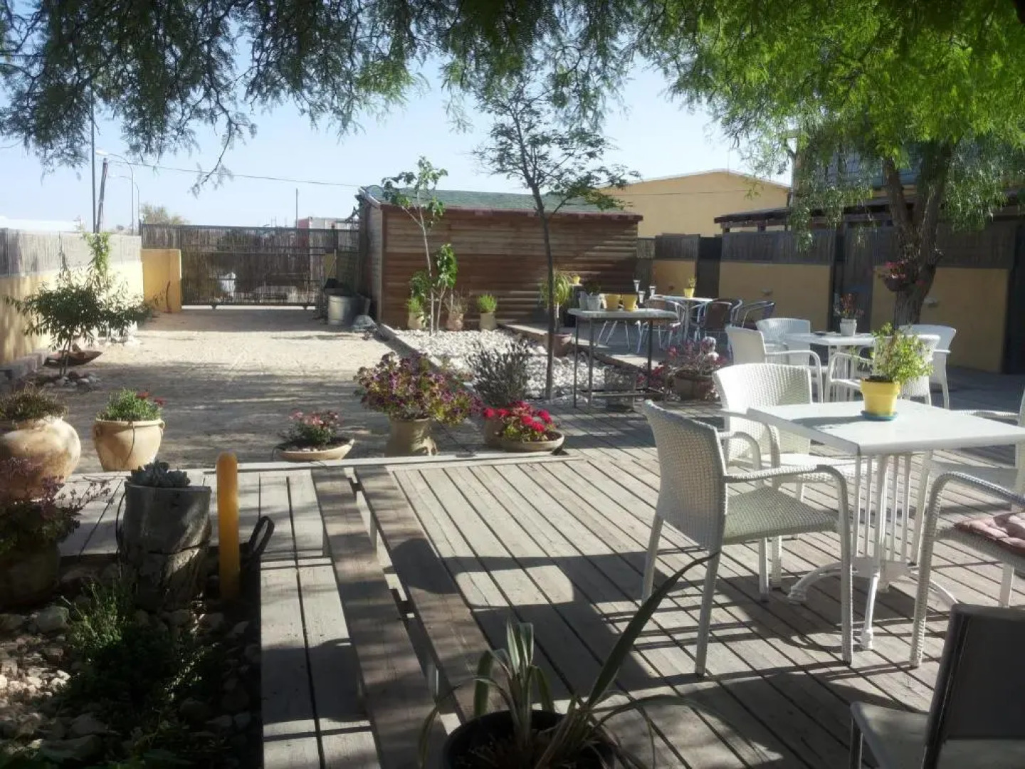 ibex unique Desert Inn