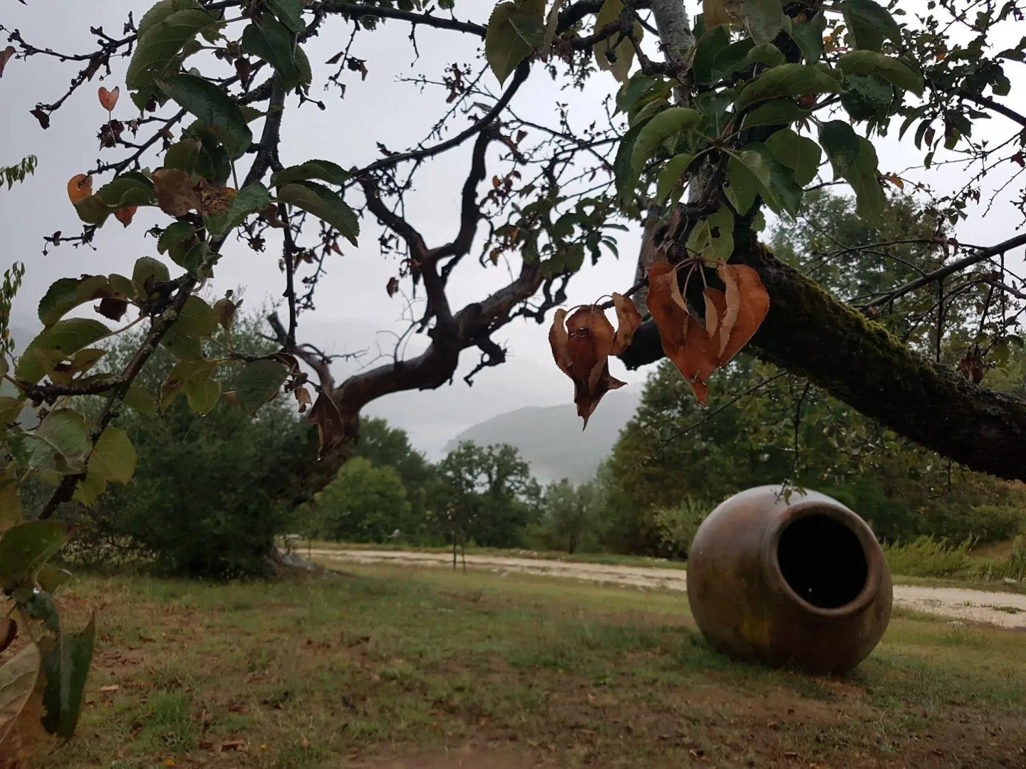 Locanda Colle Cerqueto