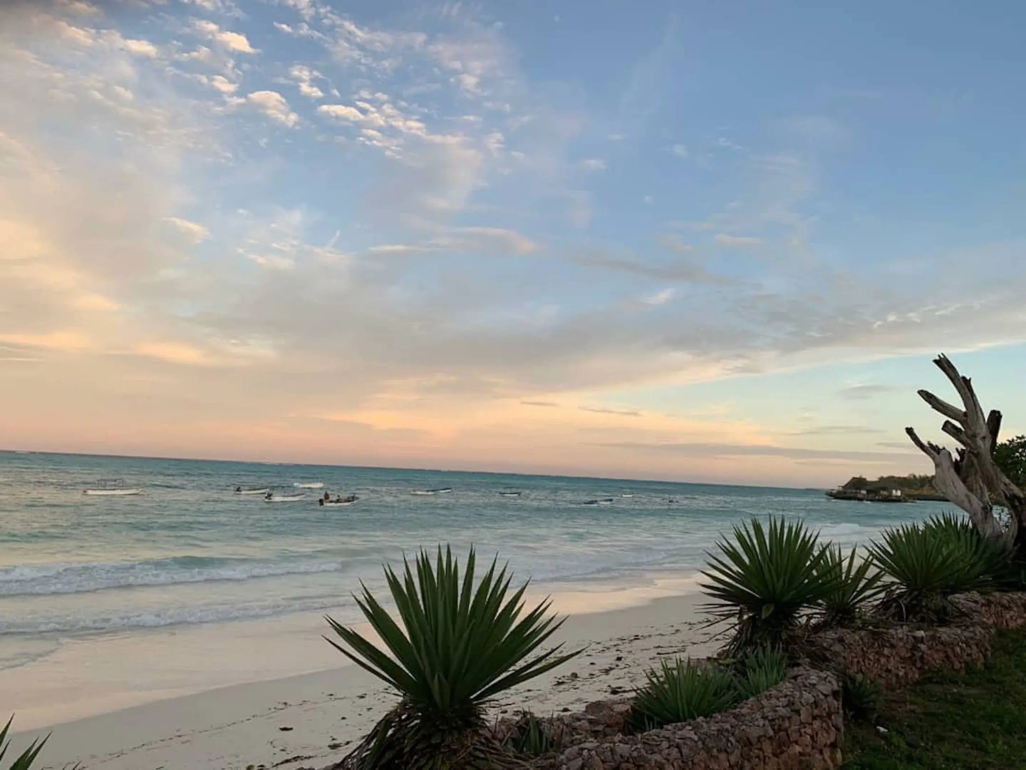 Beach House Michamvi