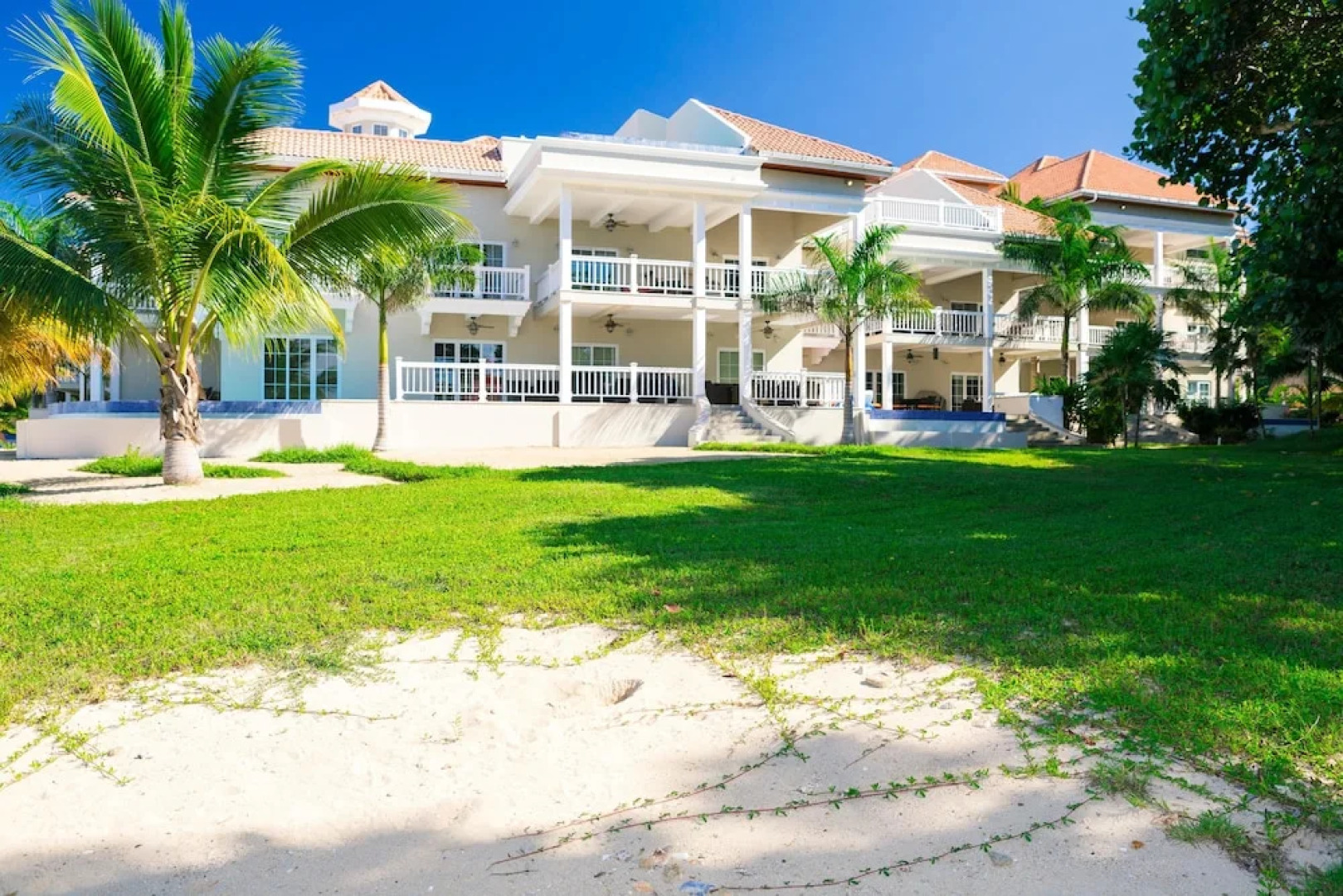 Lawson Rock Seahorse 104