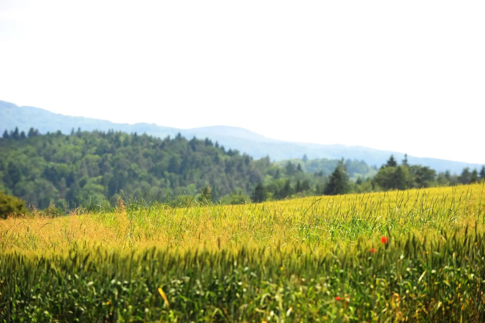 Turisticna Kmetija Seruga