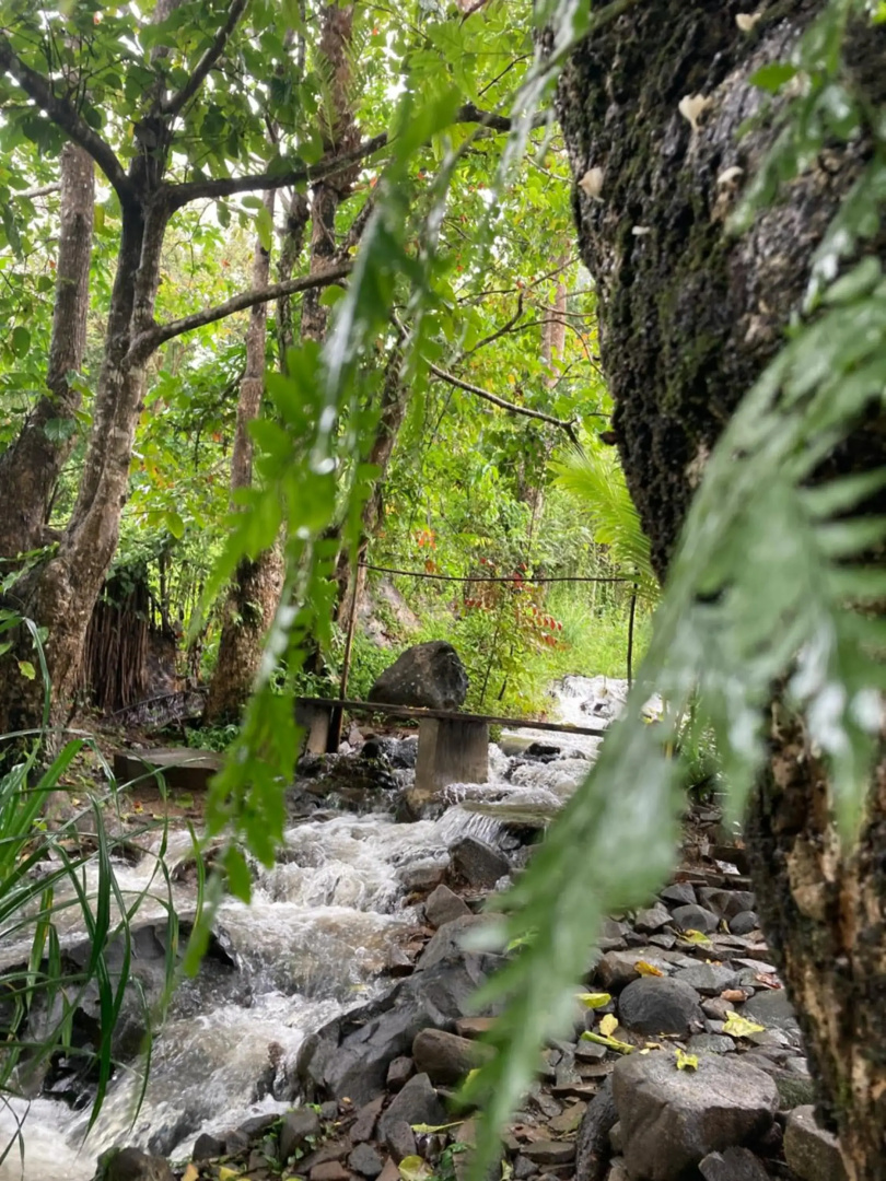 Sten Lodge eco Homestay