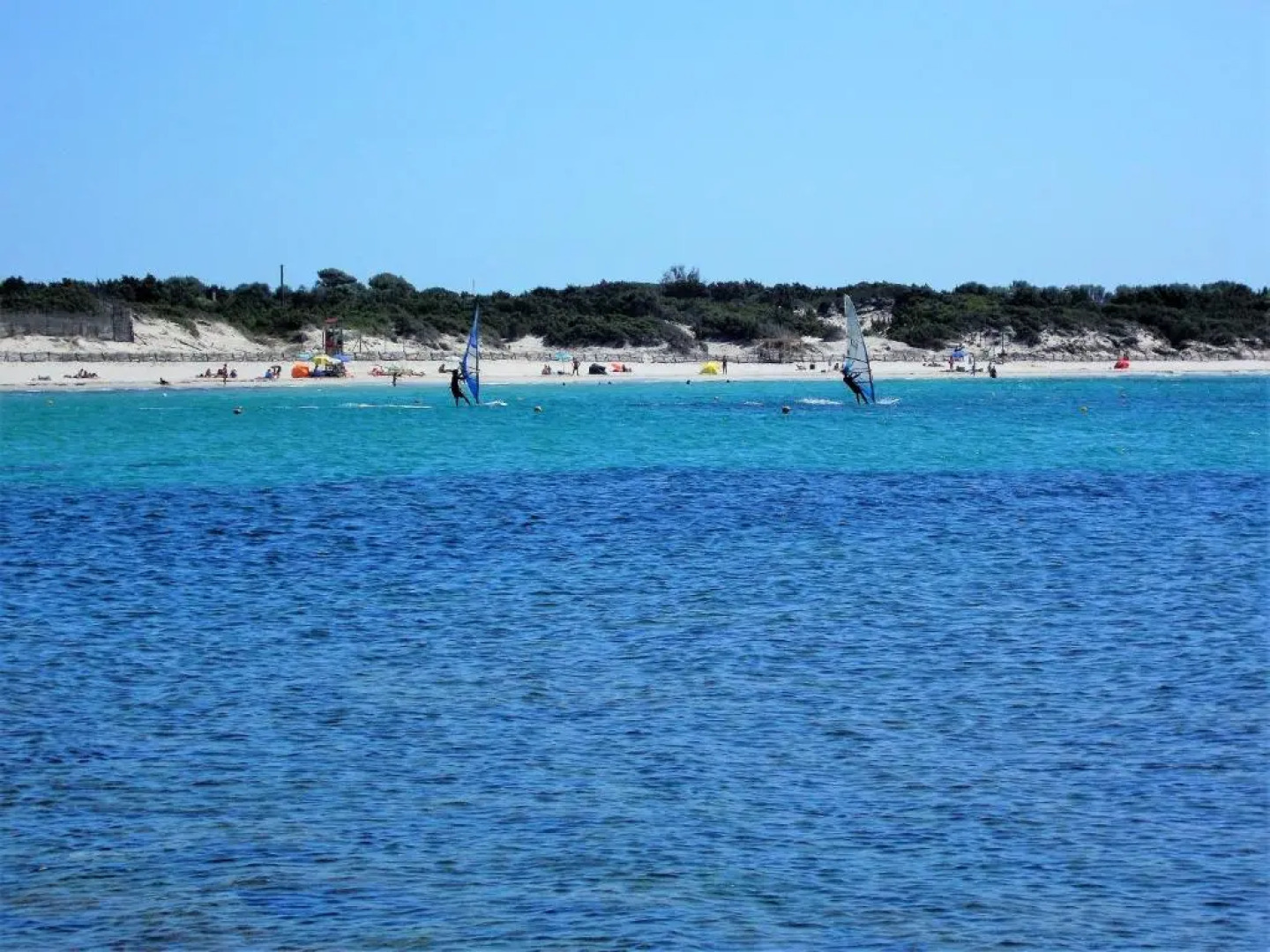 Pineta Spiaggia Grande 2