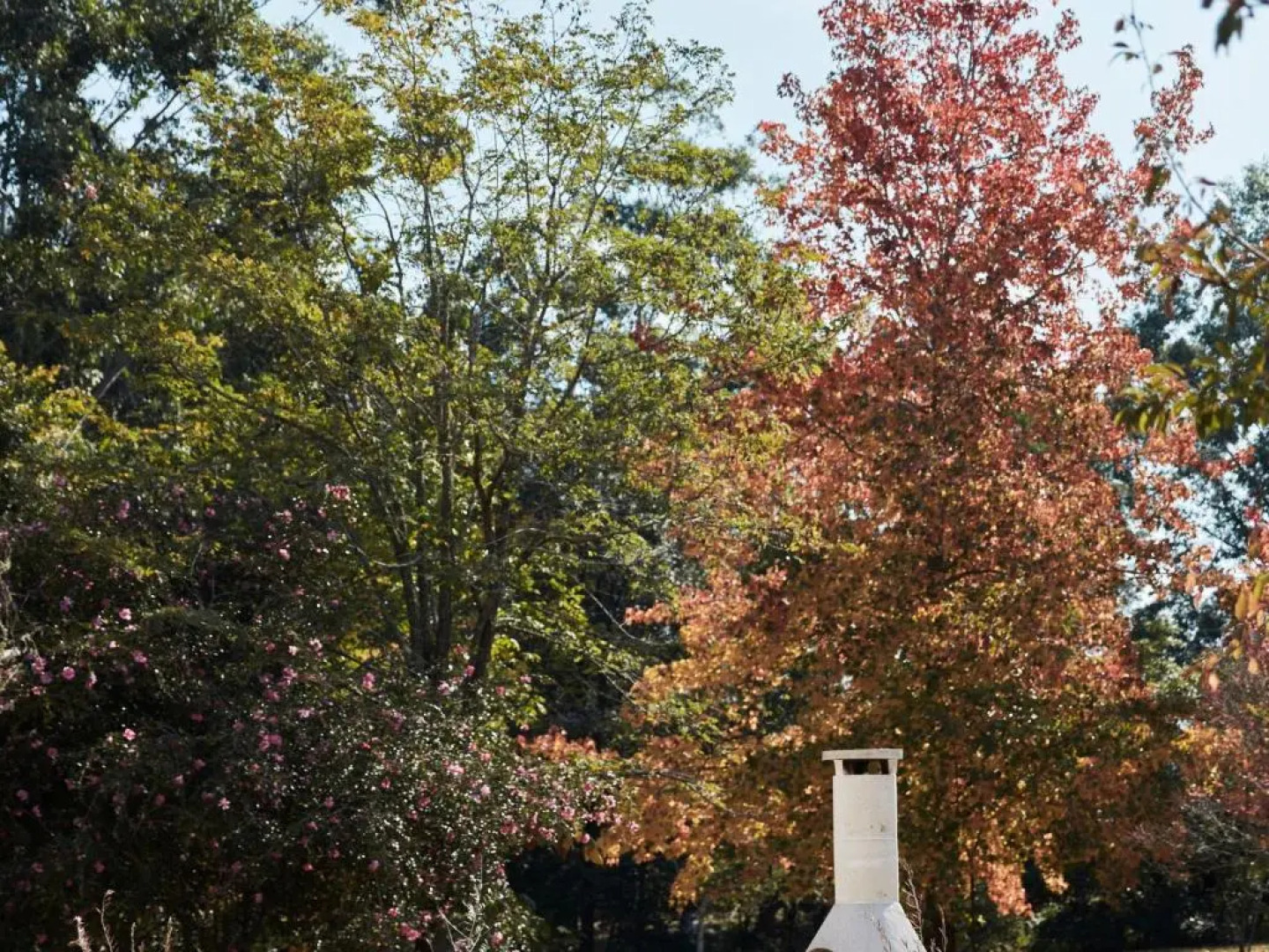 THE CASA Kangaroo Valley 4pm Check Out Sundays except Peak season