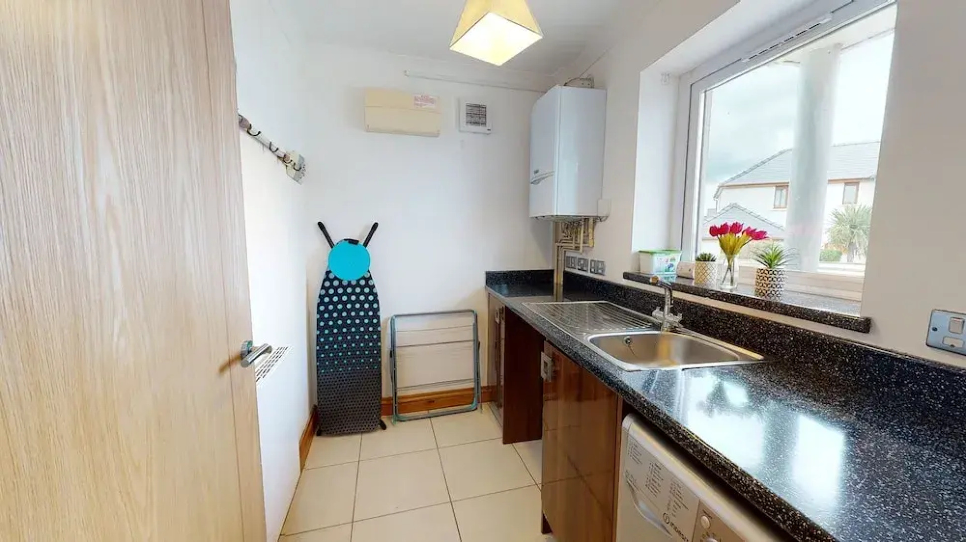 Cosy Dragon @Pembrokeshire