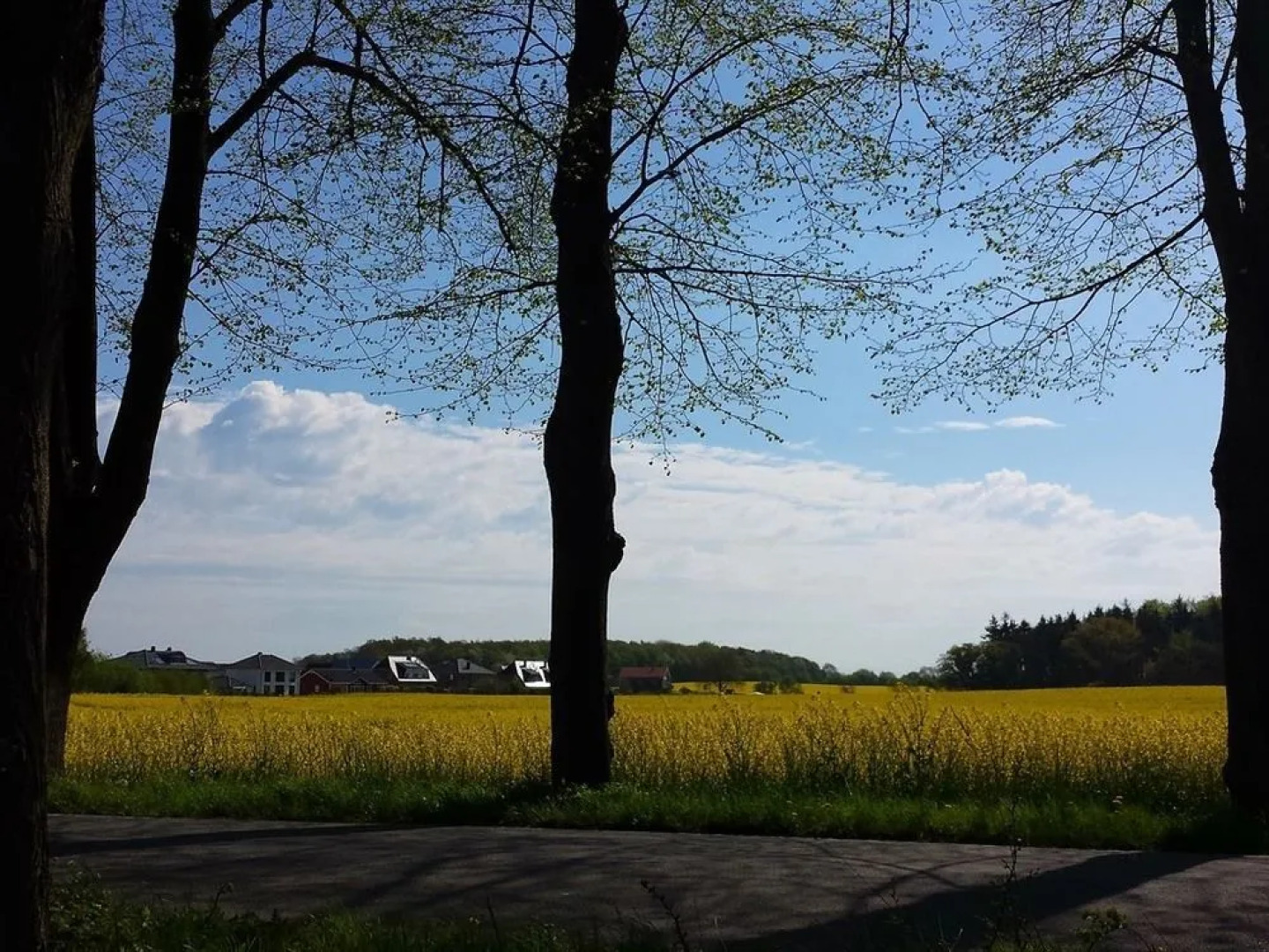 Ferienwohnung Ostsee23