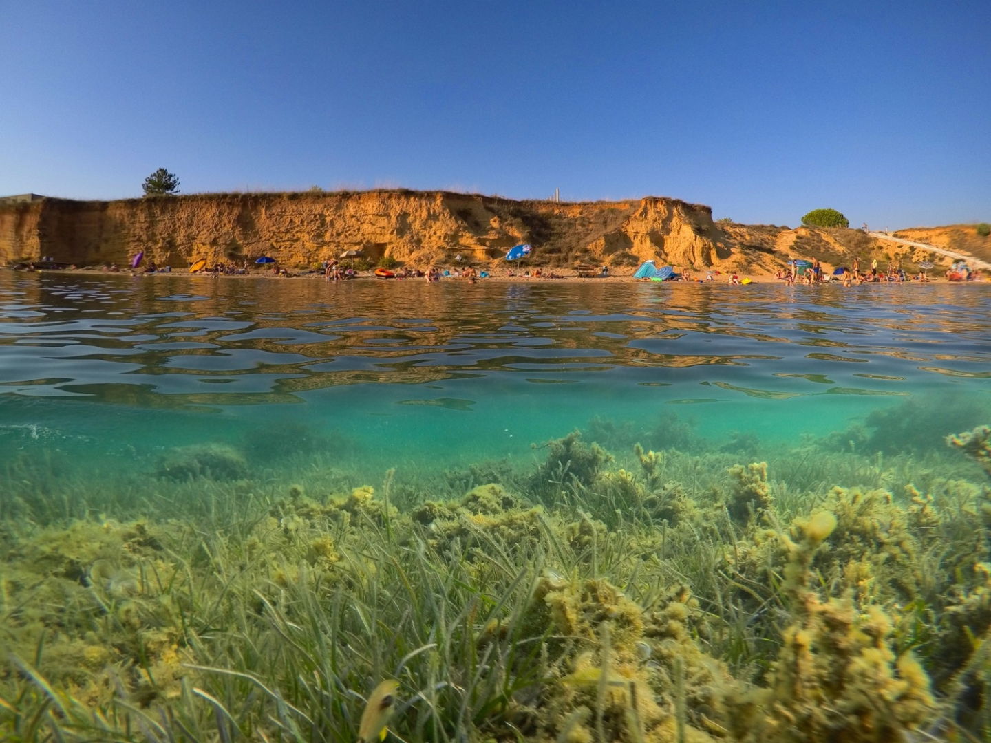 Holiday house Oasis Village Villa - heated pool : Privlaka, Zadar riviera