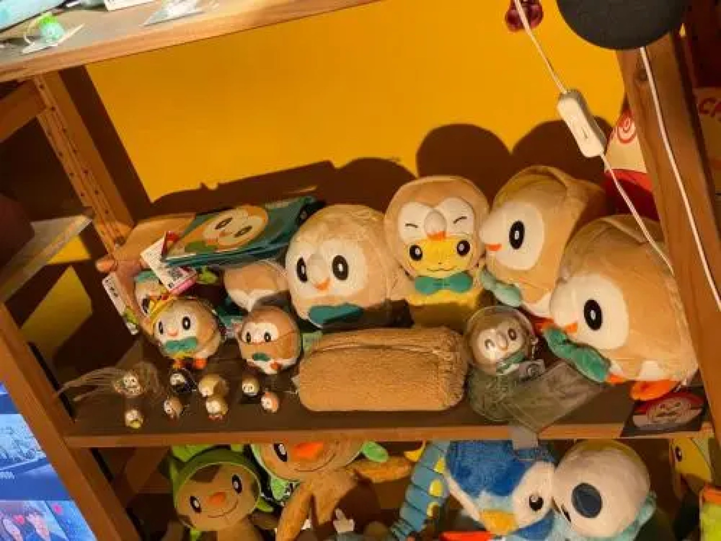 Backpacker Dog Hostel