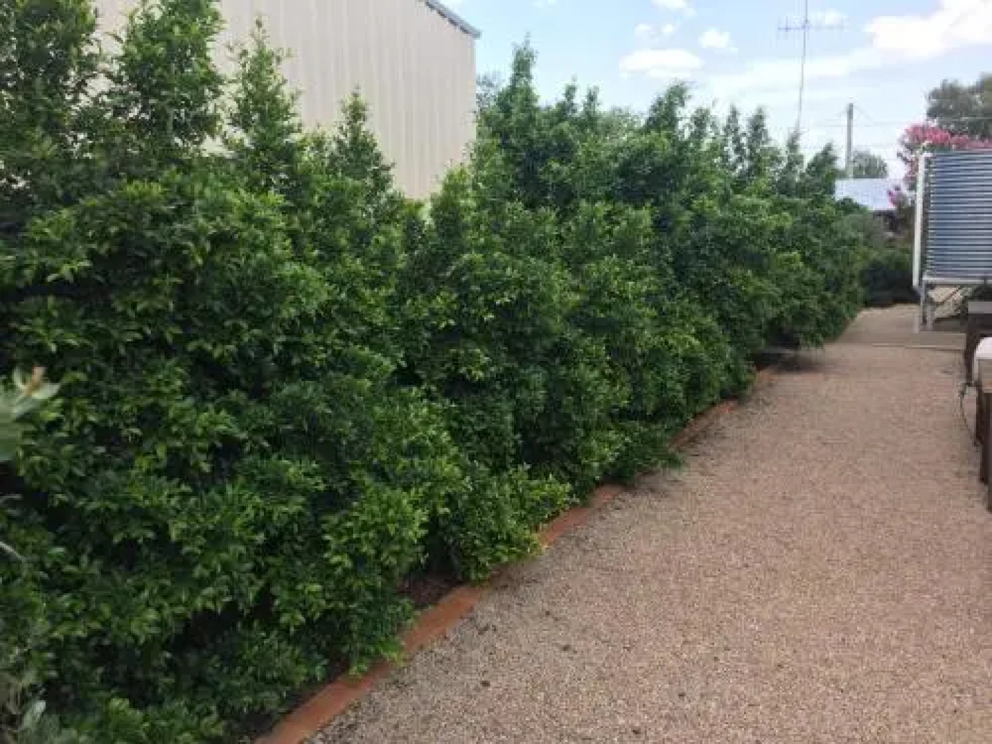 Gulgong Accommodation