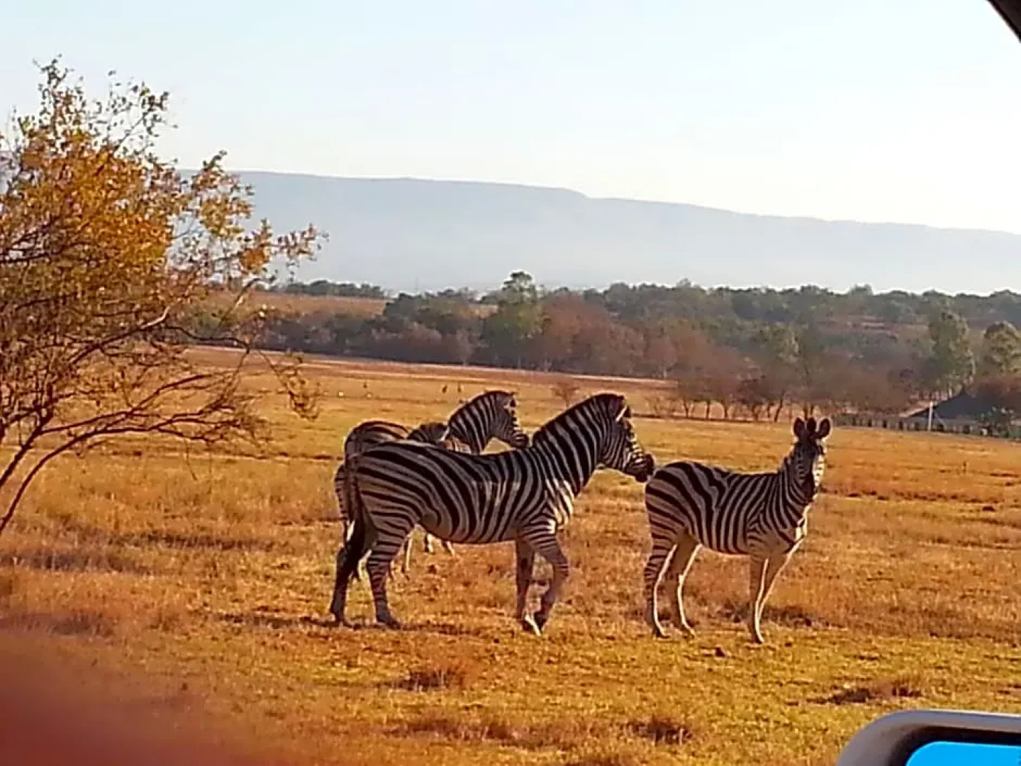 Lokuthula Country Lodge