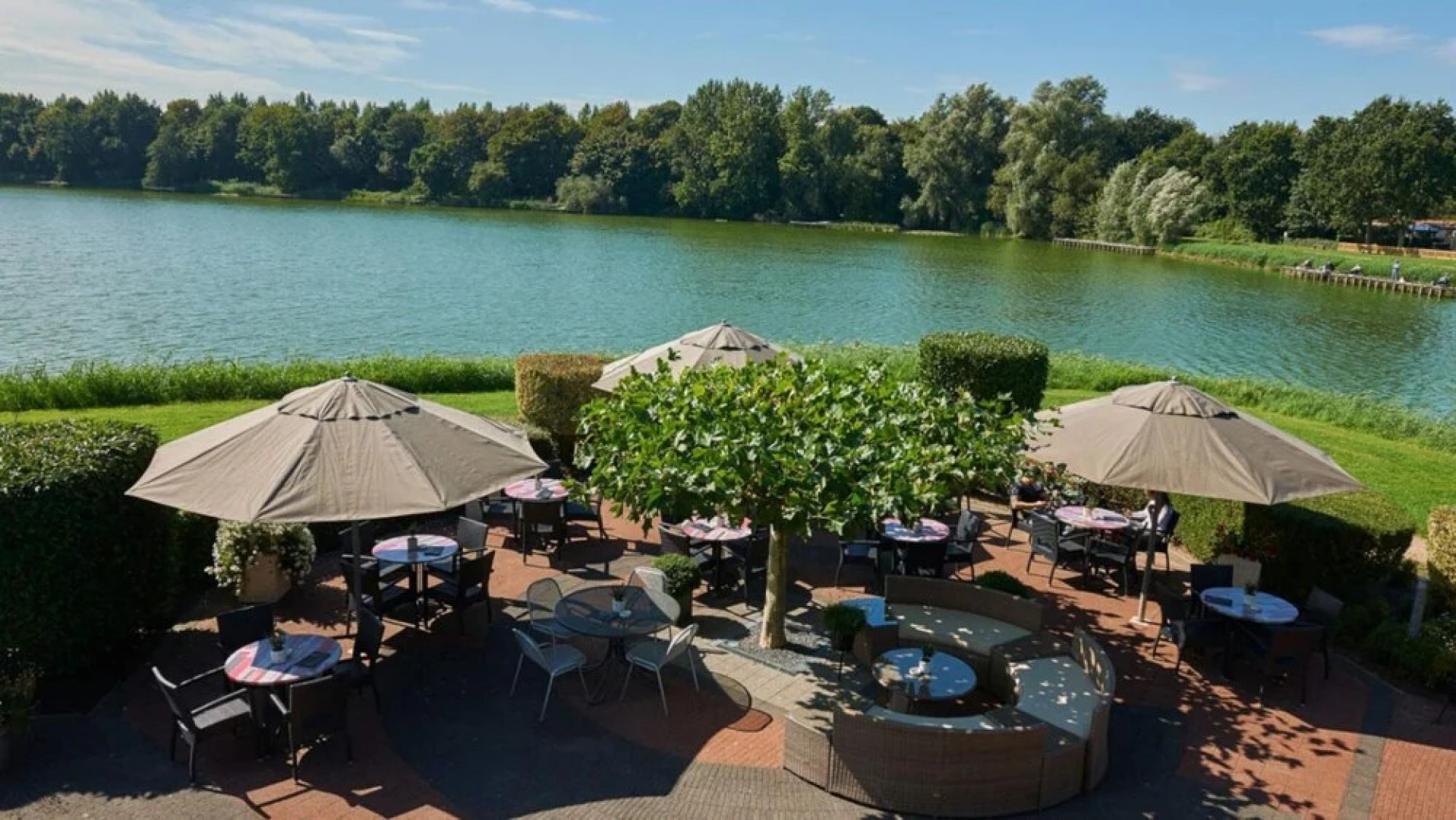 HVZ Orchis Wellness 6p