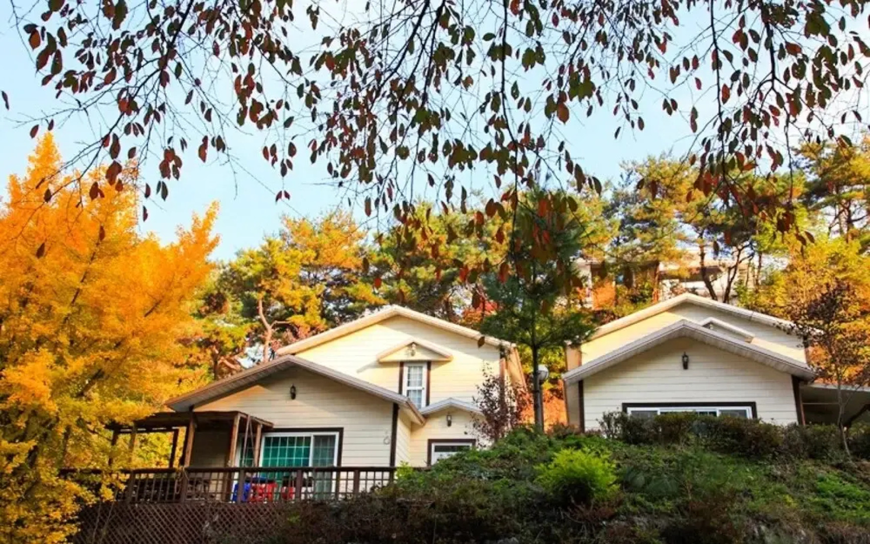 Yong Maple Pension