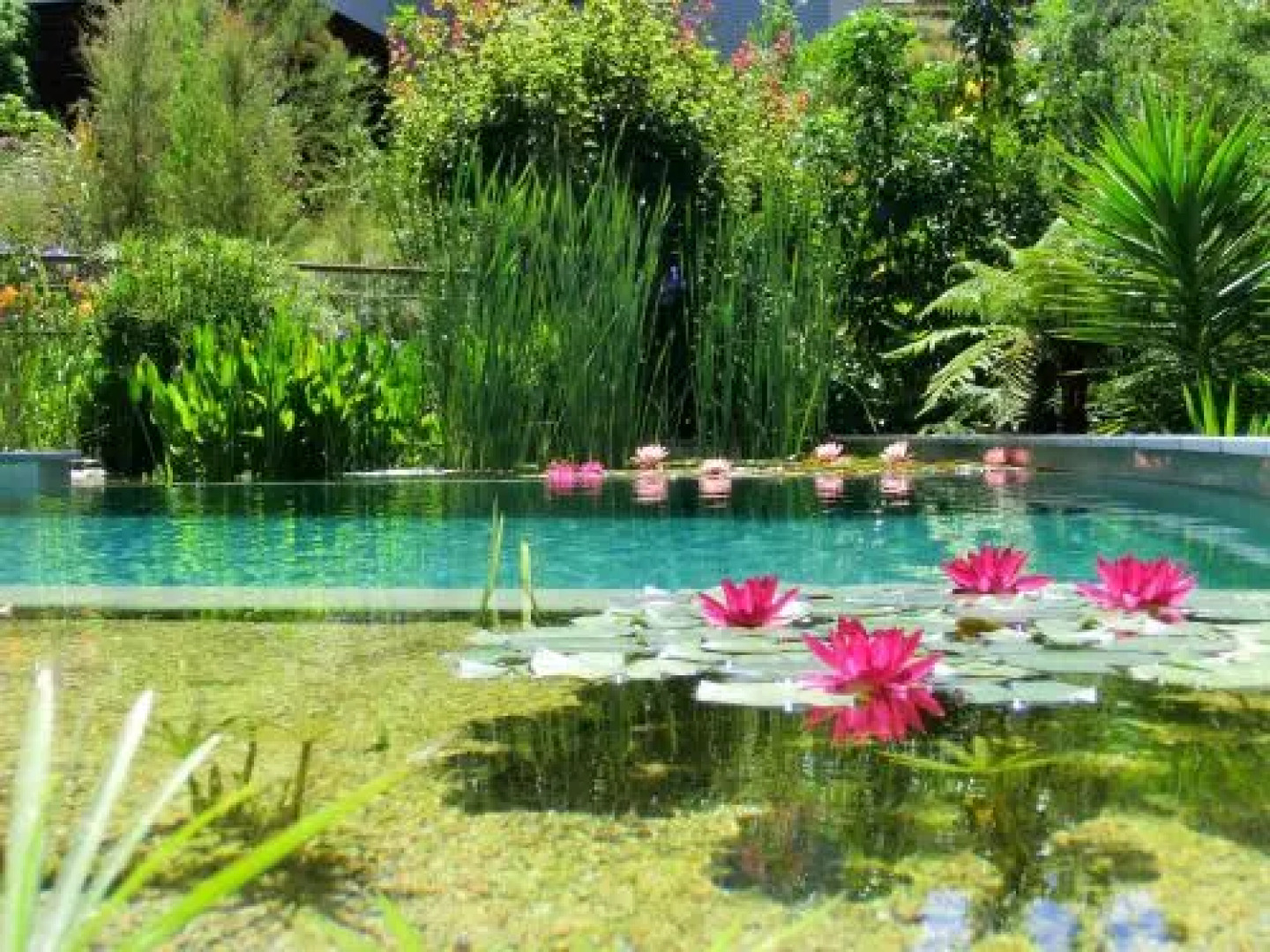 Wall Street Accommodation