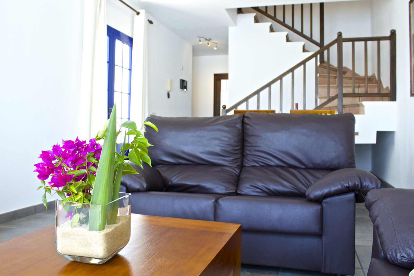 Villas Puerto Rubicon