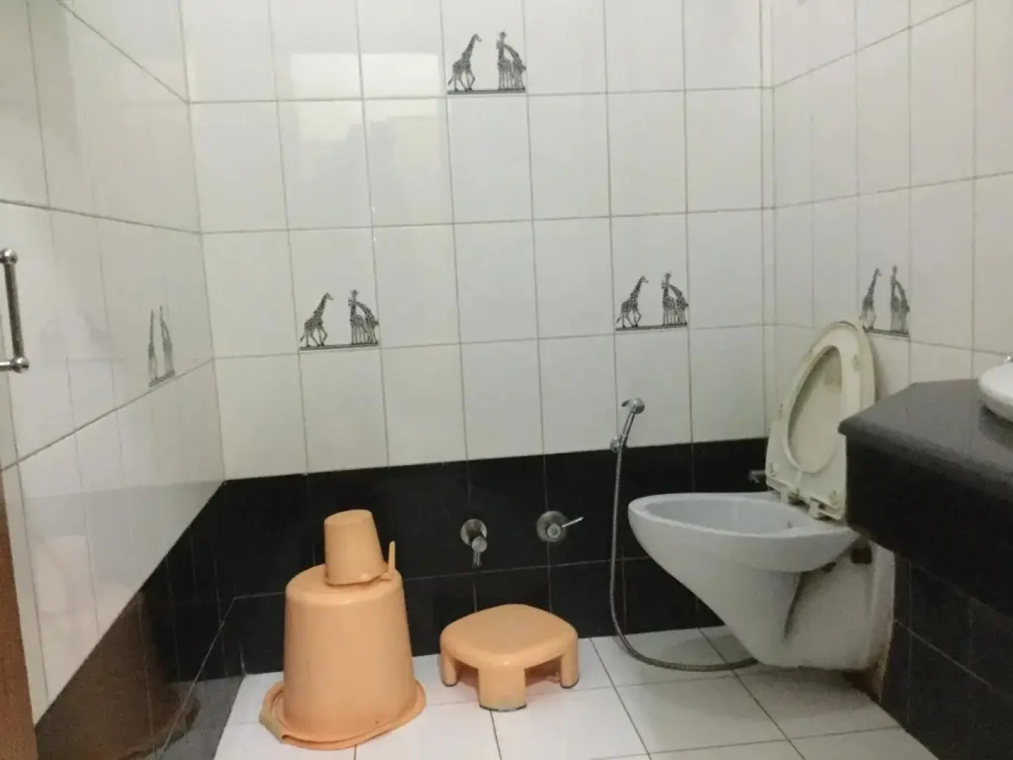 Hotel Mohan Raj Villas