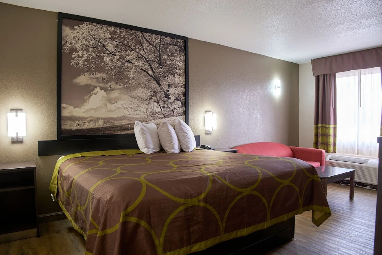 Super 8 Roanoke Rapids