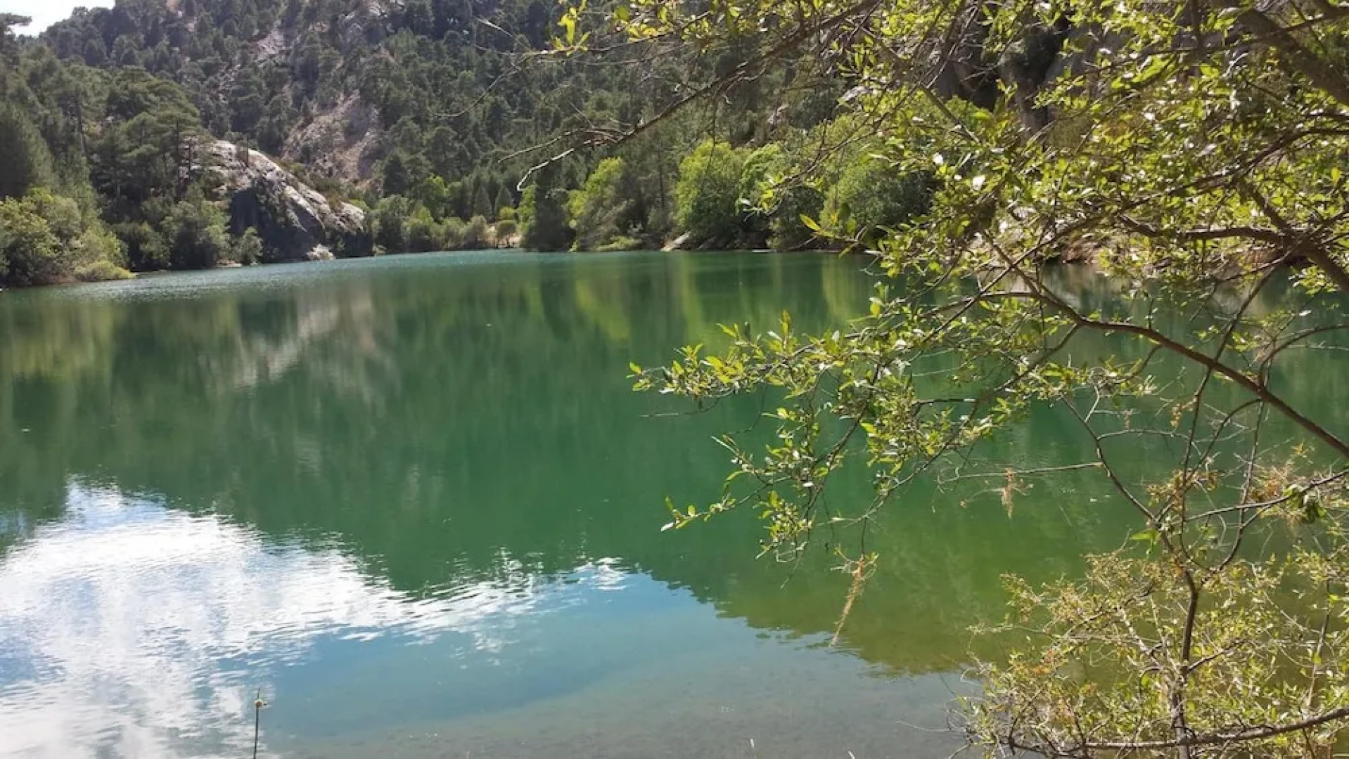 Pensión Rural Arroyo la Teja