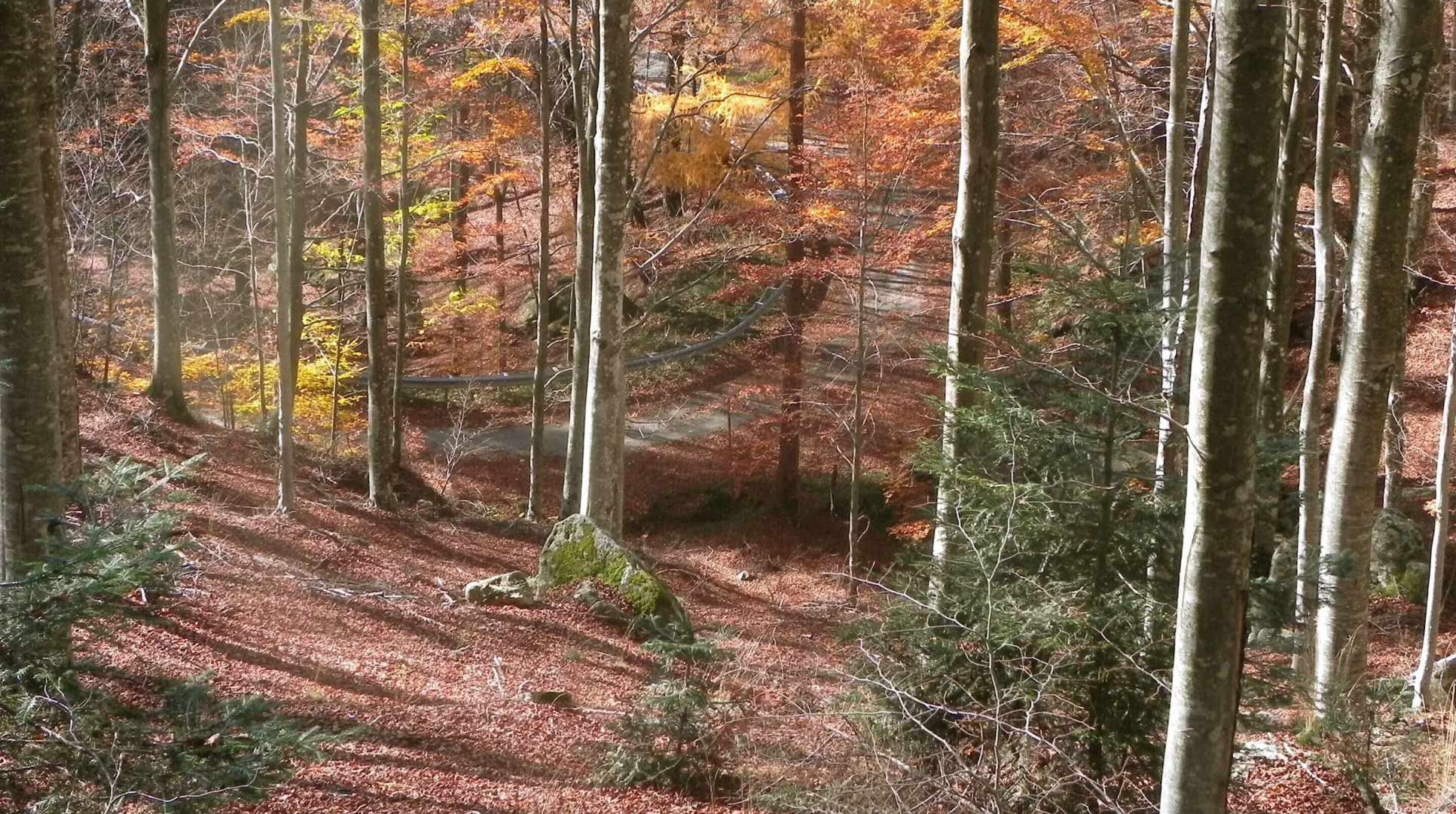 Chalet Il Vecchio Rifugio