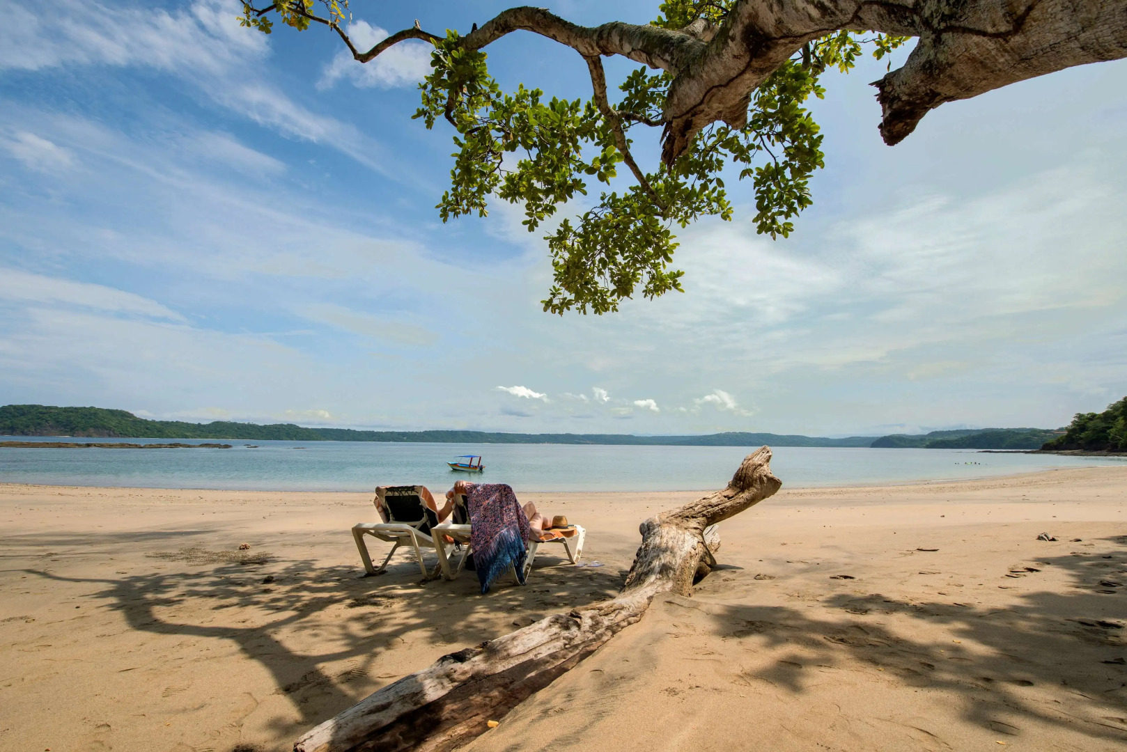 Occidental Papagayo - Adults Only - All inclusive