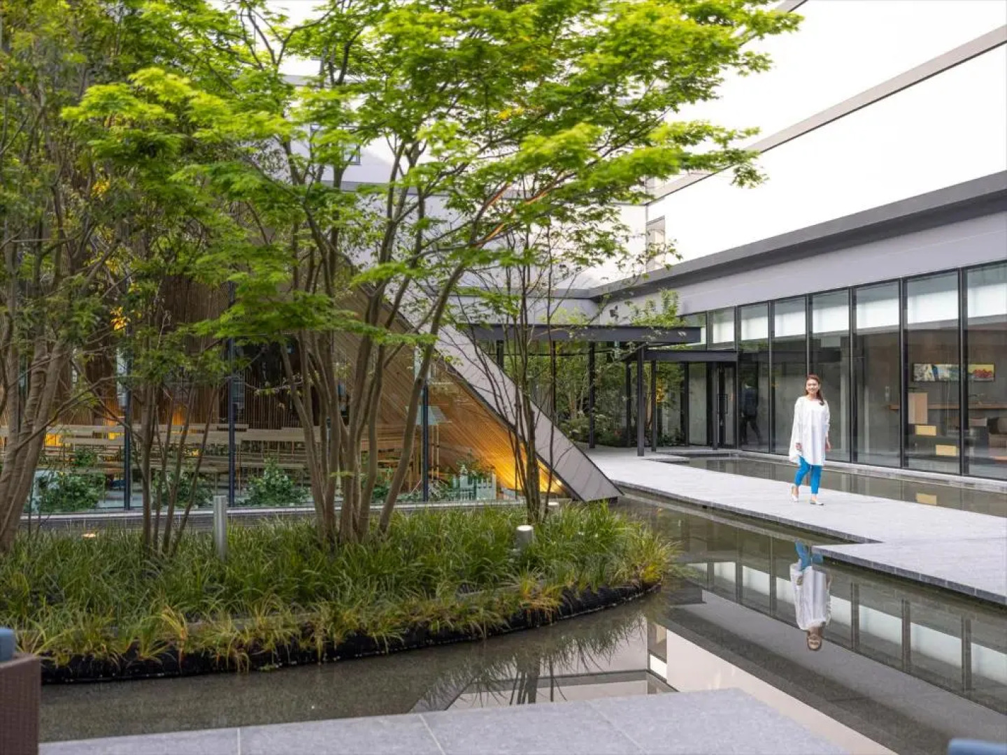 The Blossom Kumamoto