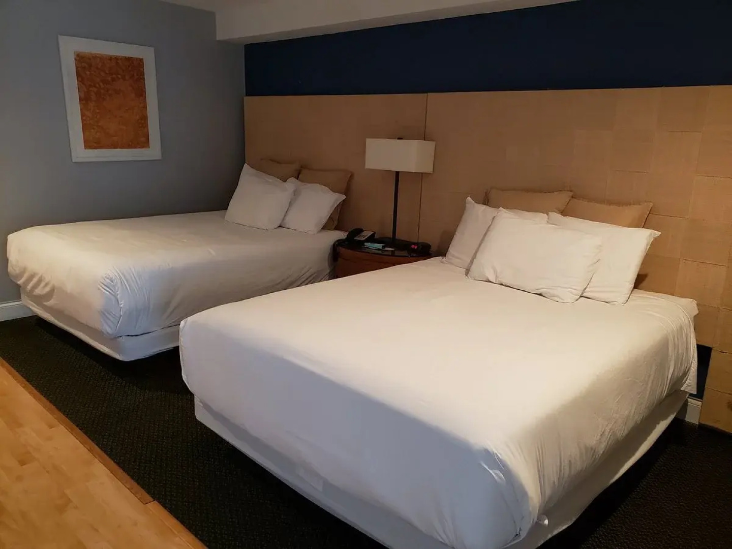 Trade Winds on the Bay