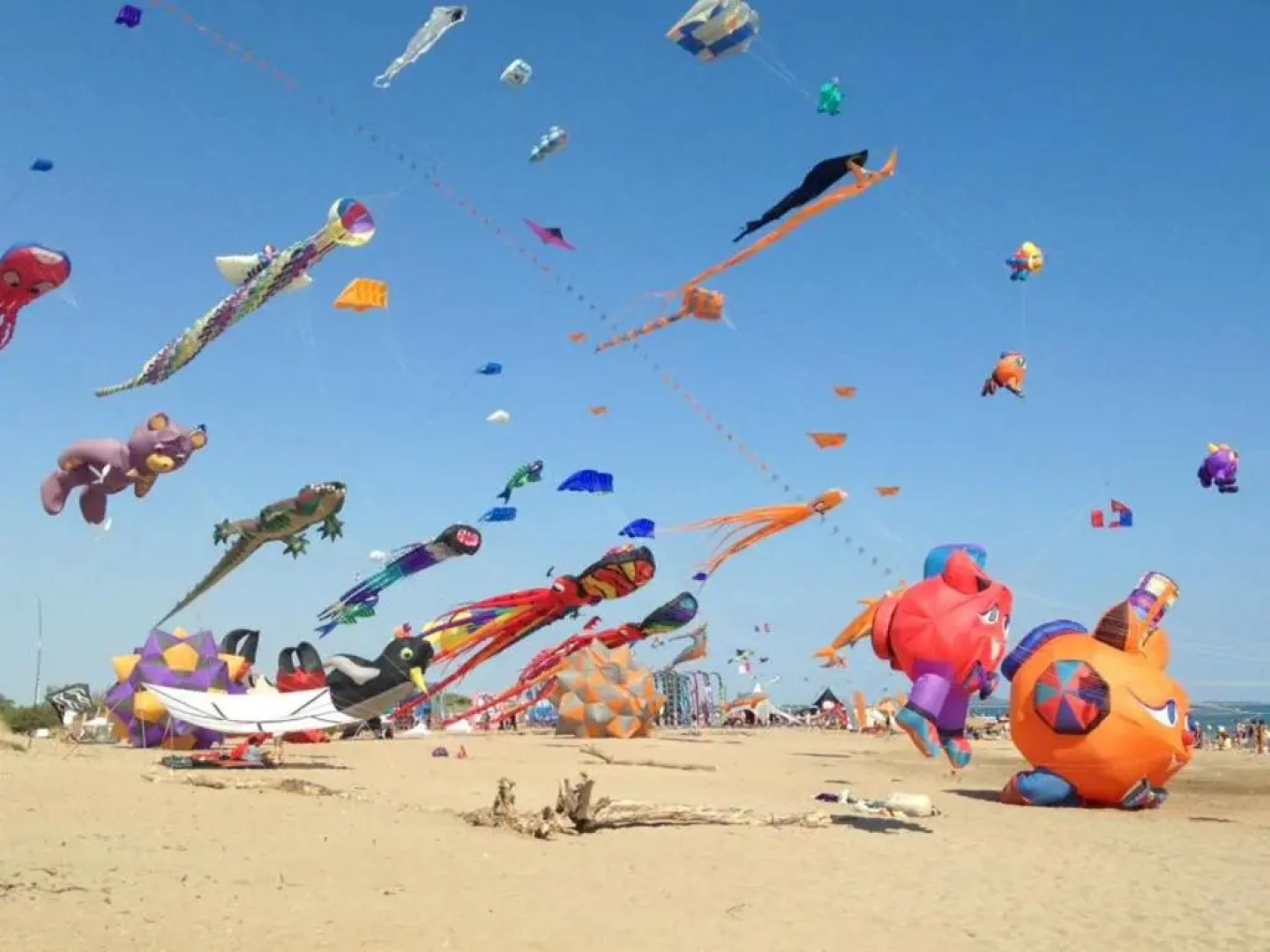 Belle maison climatisée dans le domaine PORTES DU SOLEIL, 3 chambres, Wifi, animations et piscines en supplément PORTIRAGNES PLAGE LRPDSA17