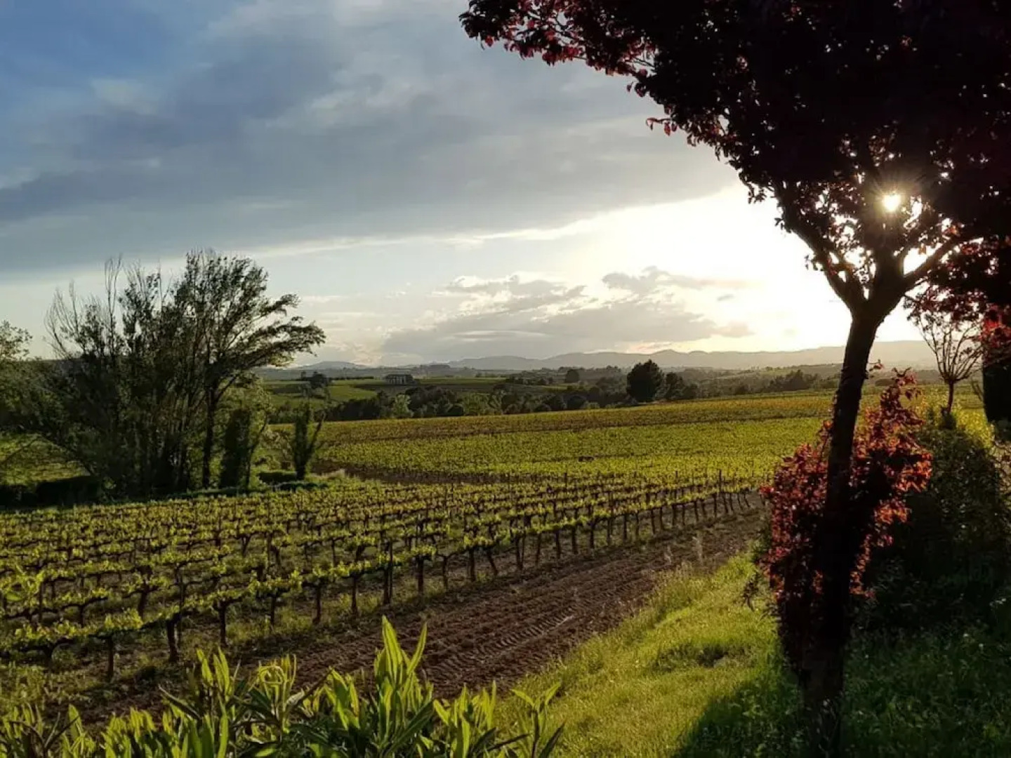 Cozy Cottage in Subirats With Swimming Pool