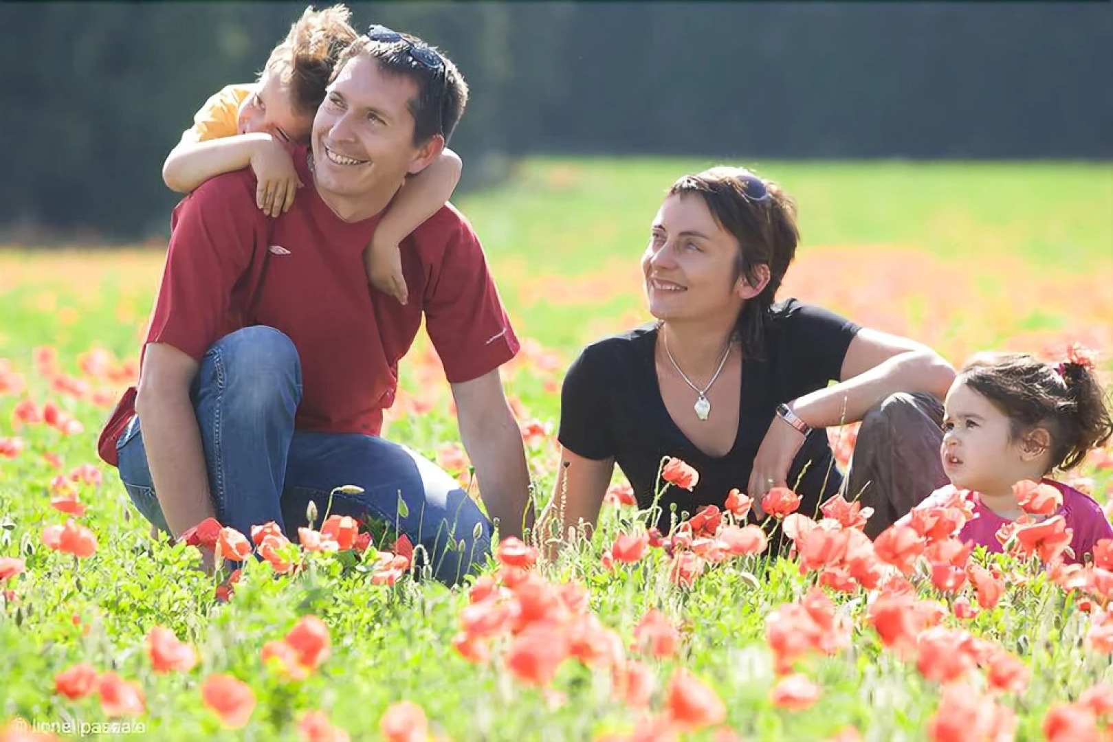 Le Vallon du Passeras